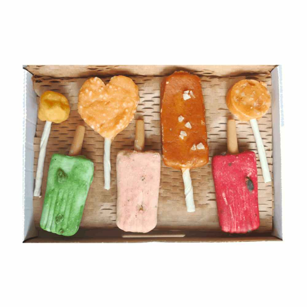Snackbox proeverij hond